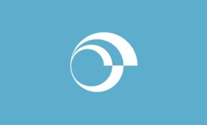 Understanding Addiction: A Clinical Framework for Practitioners